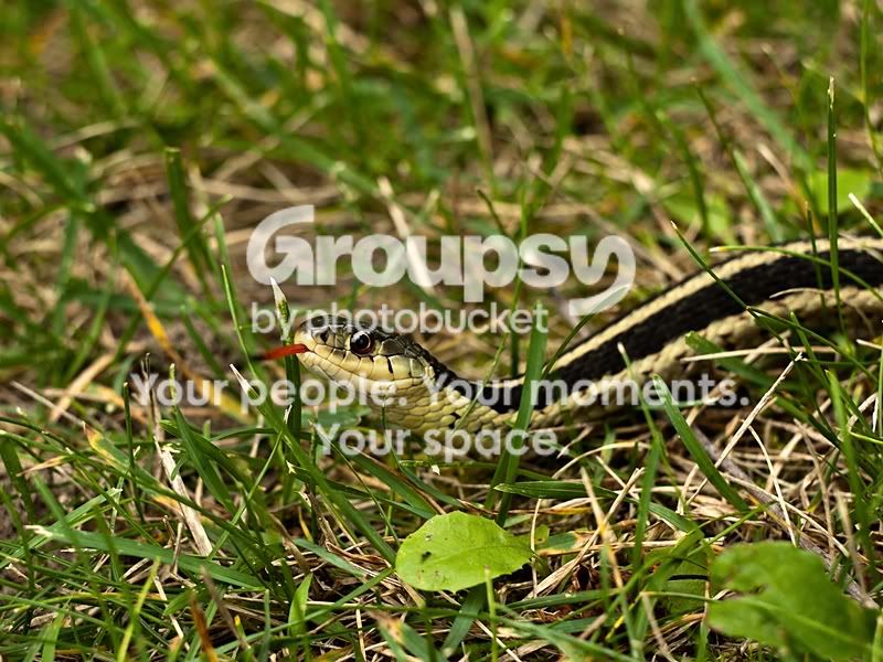 P1070736sm-Copy.jpg