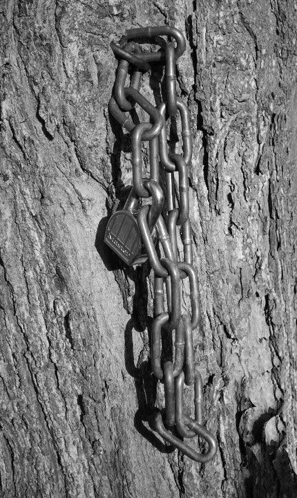Chain.jpg