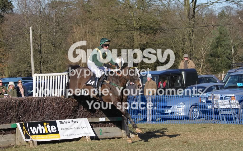 IMG_8566-crop.jpg