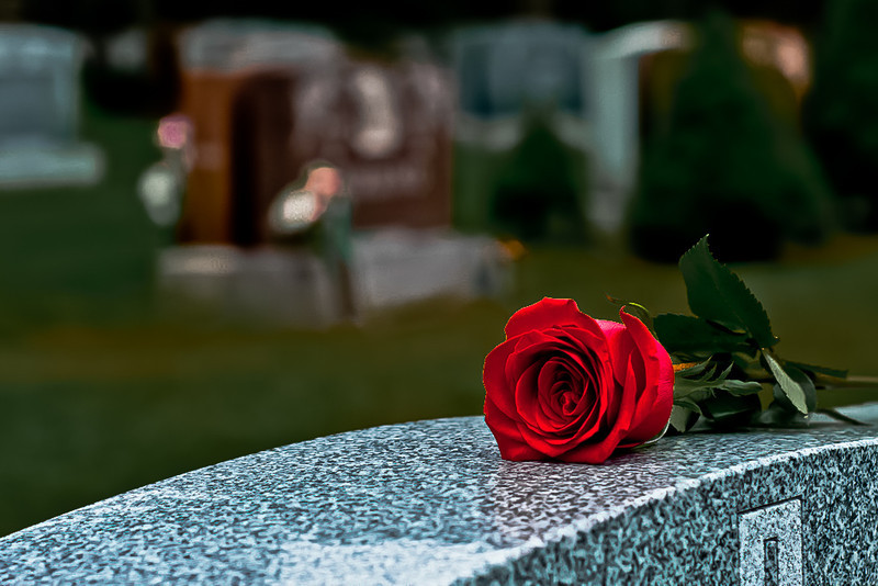 i-S8g6QL2-L.jpg