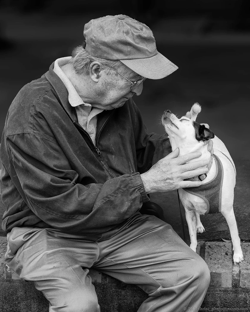 a-man-and-his-dog-jpg.133684