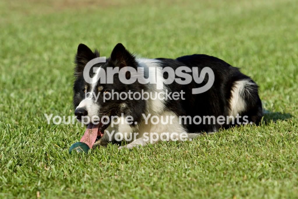 IMG_6238jh1.jpg