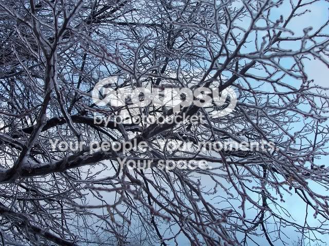 100_2053.jpg
