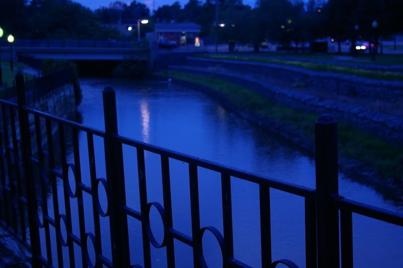 IMGP0841-1.jpg