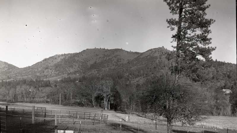 img378.jpg