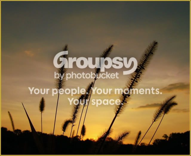 grass.jpg