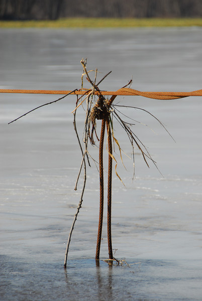 444786252_R8xgJ-L.jpg