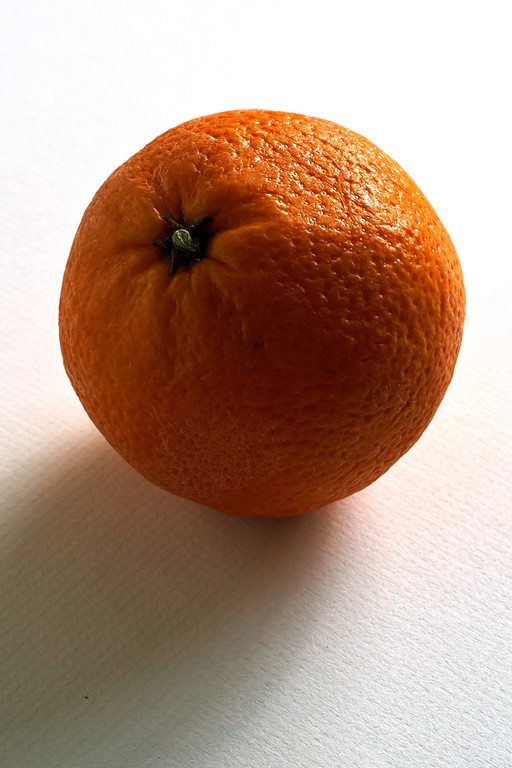 DSC00759-XL.jpg