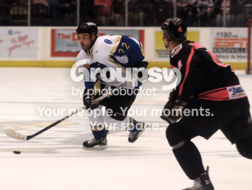IceBears144.jpg