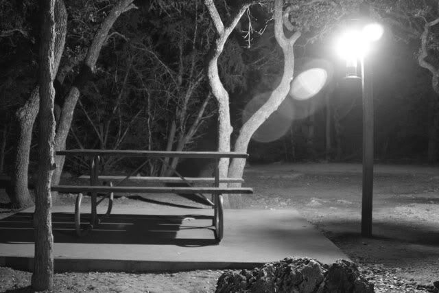 parkbench.jpg