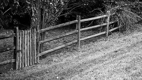 1483431531_08cb9de9cf.jpg