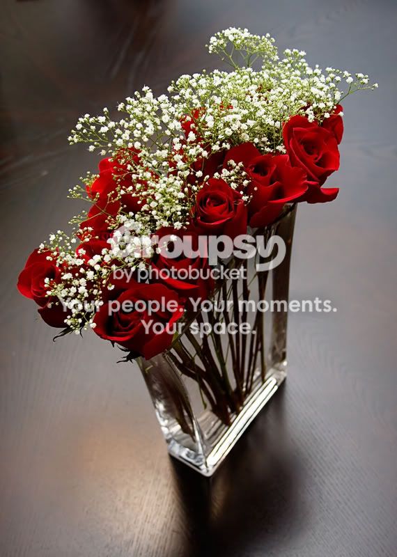 babybreath4.jpg
