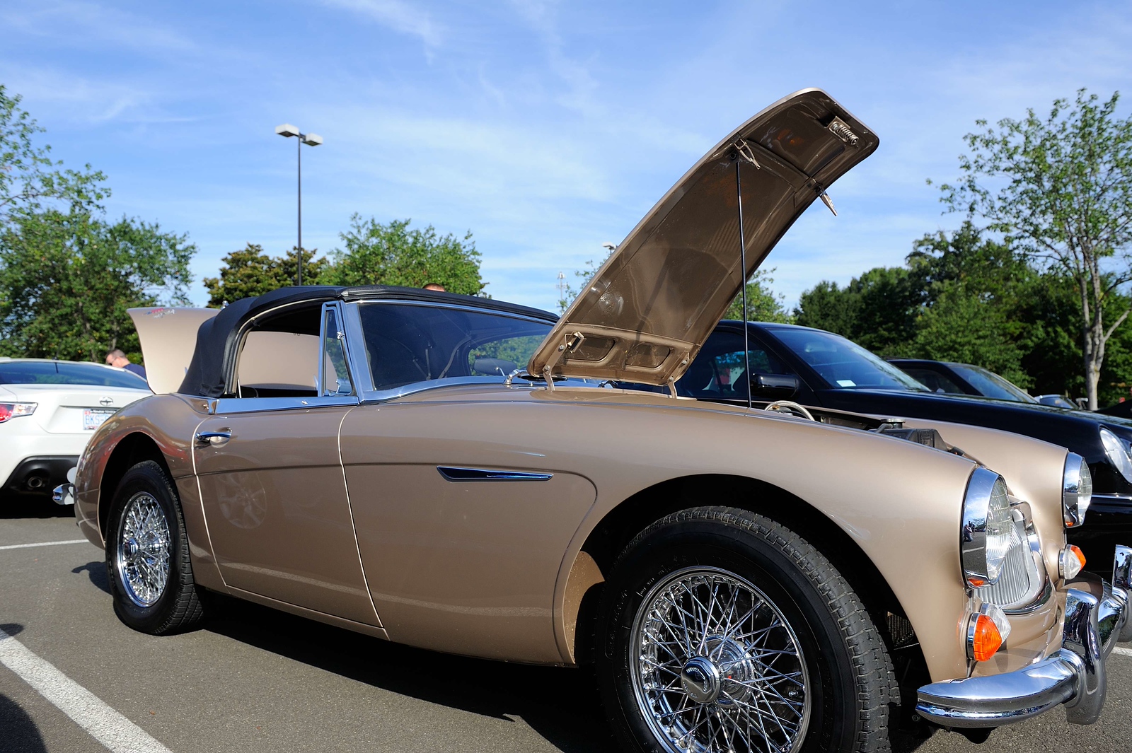 DSC_00180-X3.jpg
