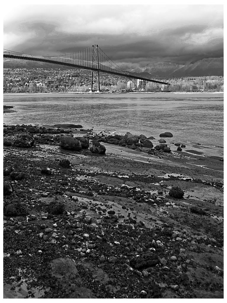 bridgey1copy-1.jpg
