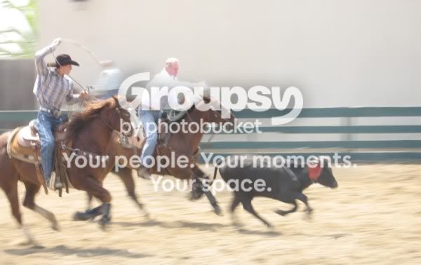 roping2.jpg