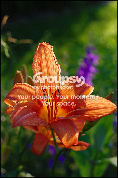 DSC_5464-2.png