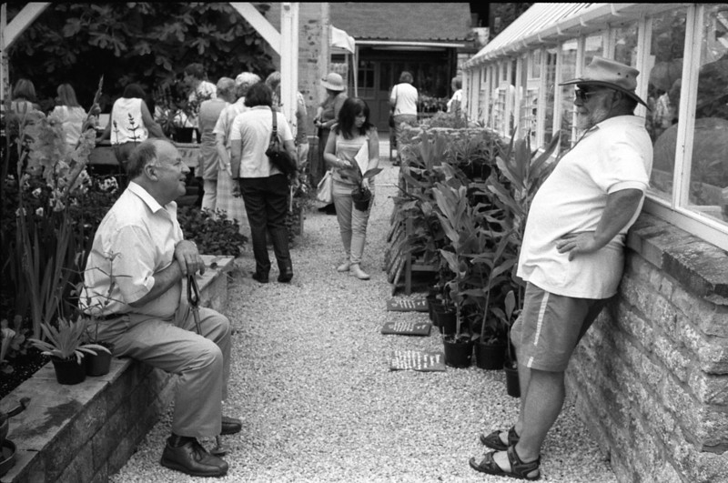 img339-L.jpg