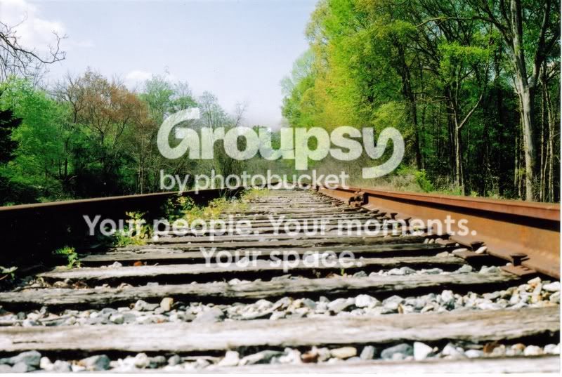 Tracks3.jpg