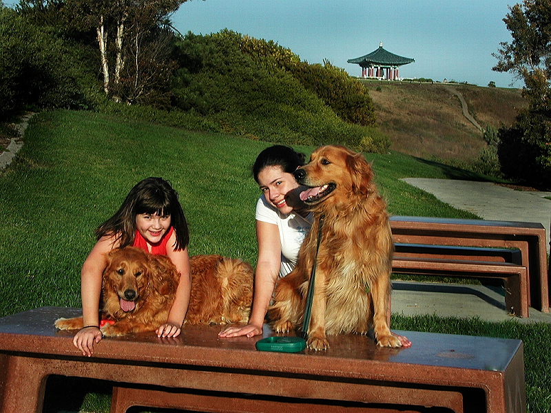 S%26A-Dogs1-L.jpg