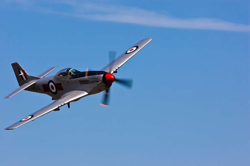 mustang1pp800x533lqdn9.jpg
