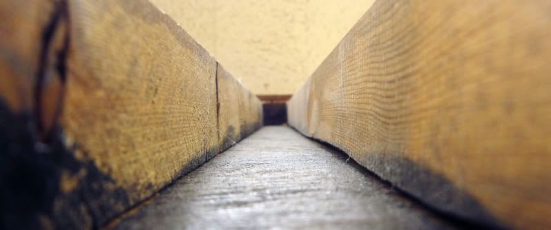 woodtunnel.jpg