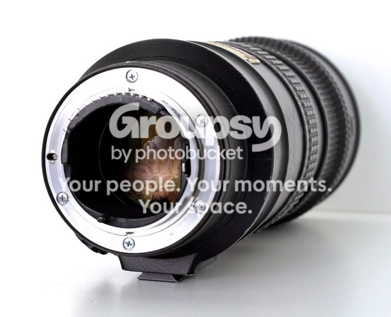 _KLH0490.jpg