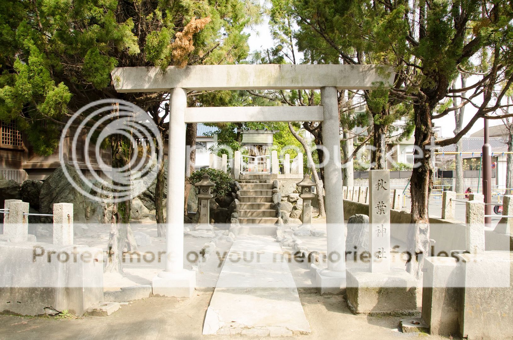 CTW_5348.jpg