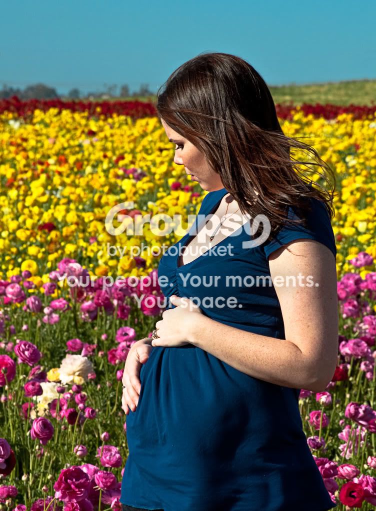 CarlsbadFlowerField-058.jpg