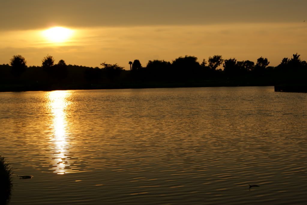 sunsetbaywoodgreens.jpg