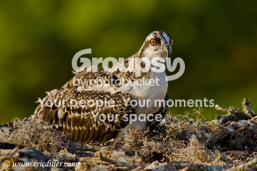 _ECD8015-copy900.jpg