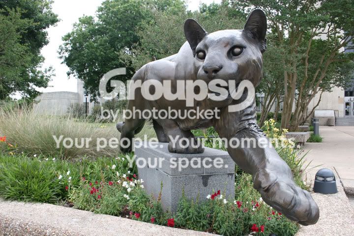 cougar2.jpg