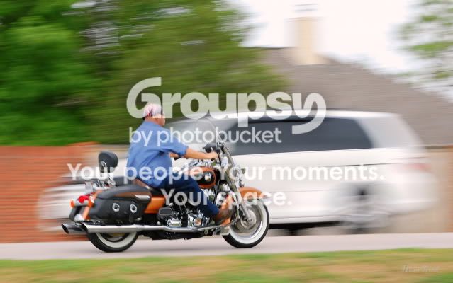 DSC_4155edited.jpg