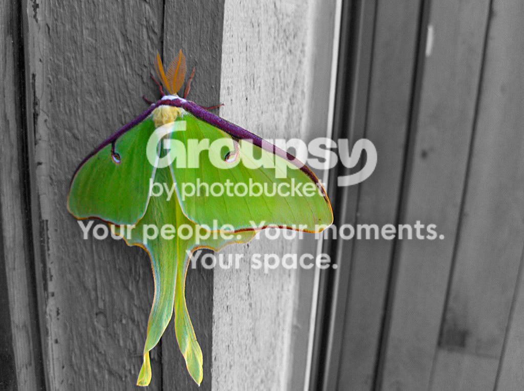 HPIM3492new.jpg