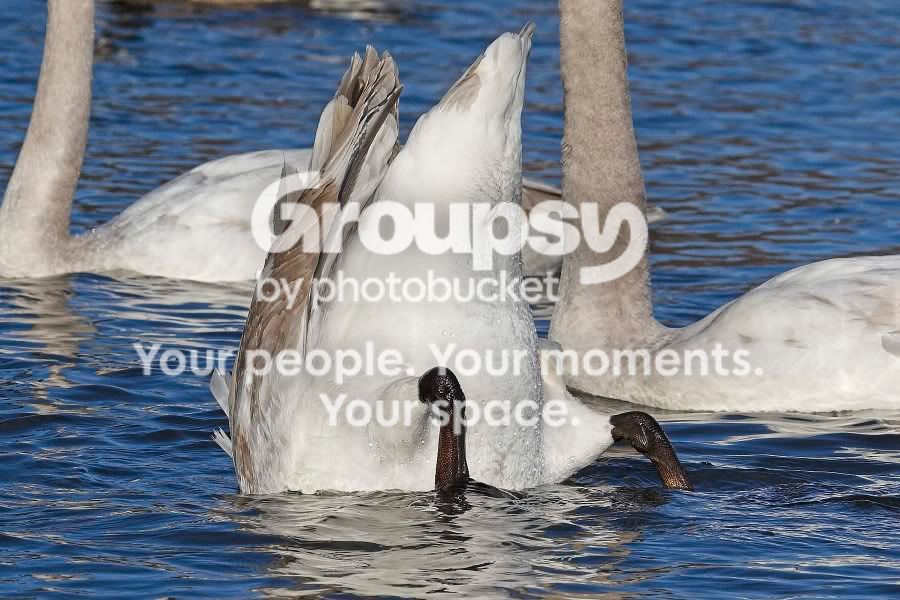 exp.jpg