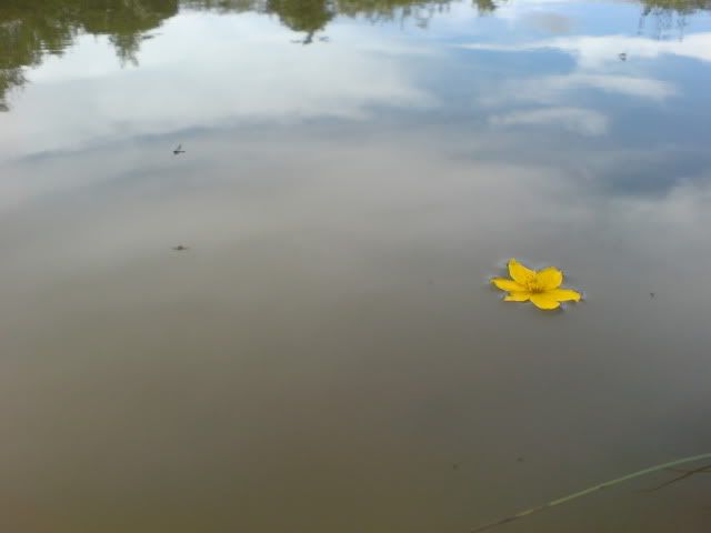 DSC02182.jpg
