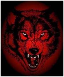 Wolf1.jpg