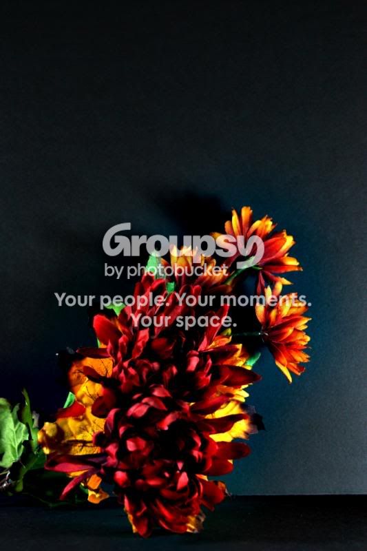flowersedited.jpg