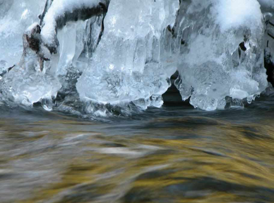 IMG_0353.jpg