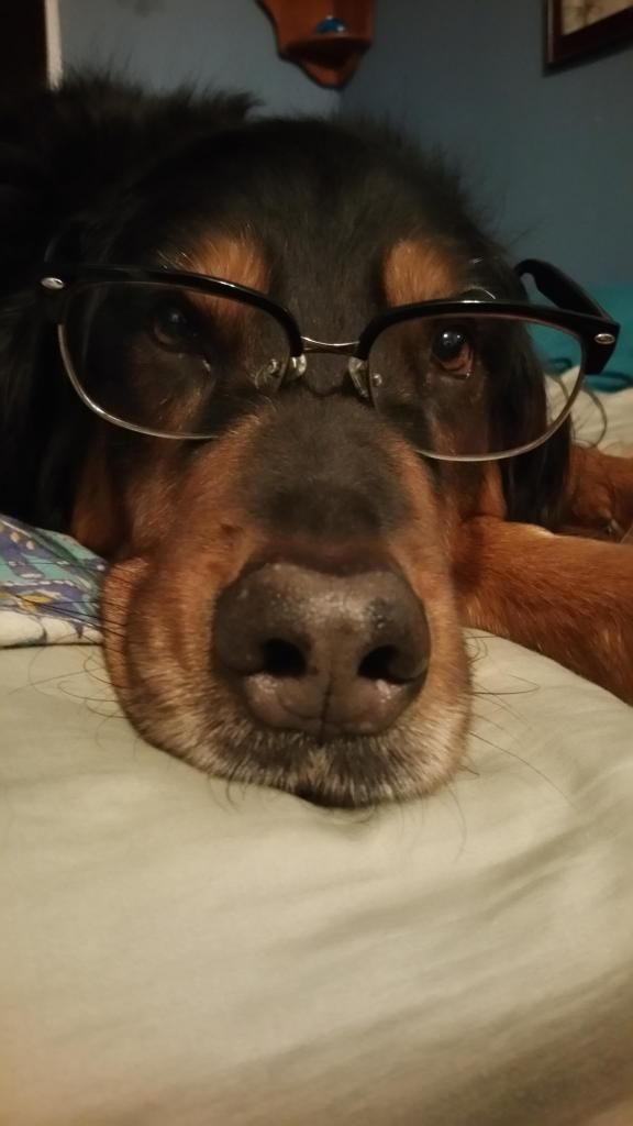 hank_zpsb5b72d45.jpg