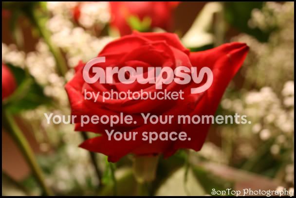 IMG_0147copy.jpg