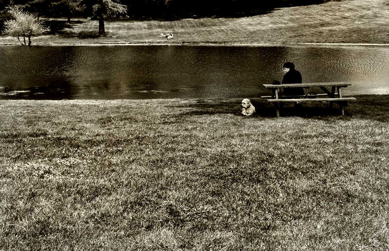 DSCF2660-L.jpg