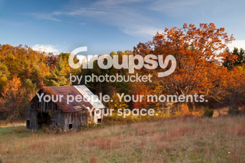 _MG_5296.jpg