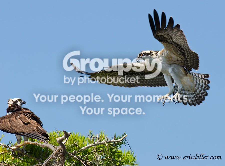 _ECD7725-copy900.jpg