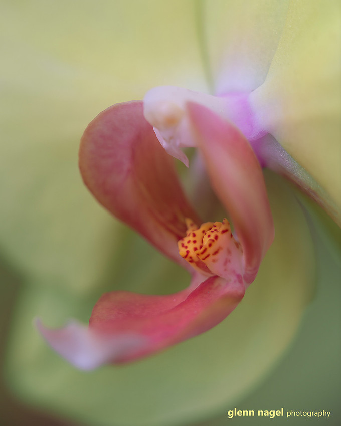 p2786849788-5.jpg