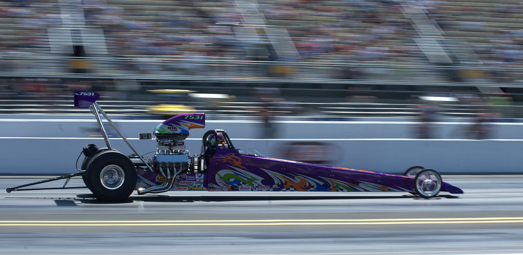 DSC_7303-XL.jpg