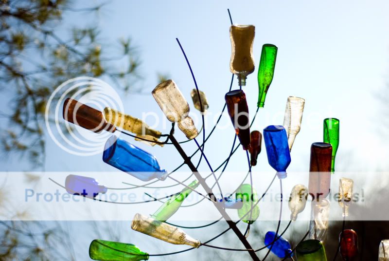 bottles5web.jpg
