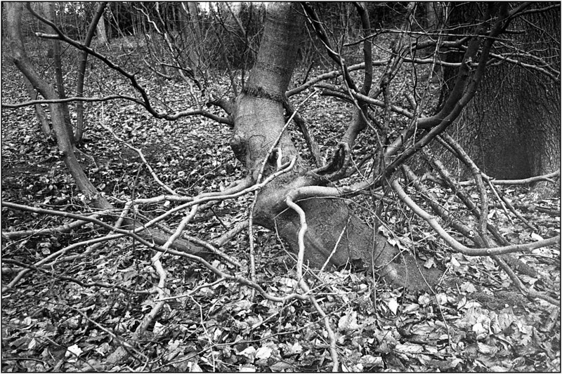 scan073-L.jpg