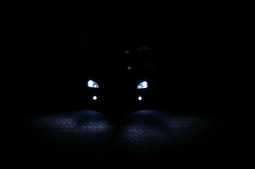 Eyes_of_a_Beast_by_ShadowPhotography.jpg