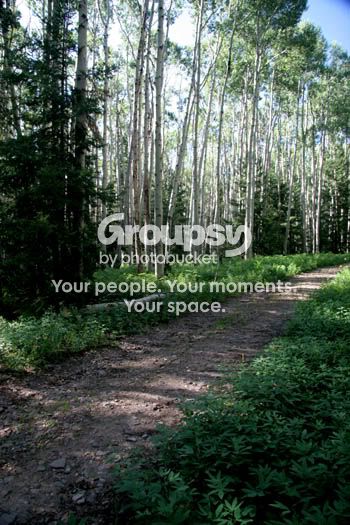footpath1.jpg