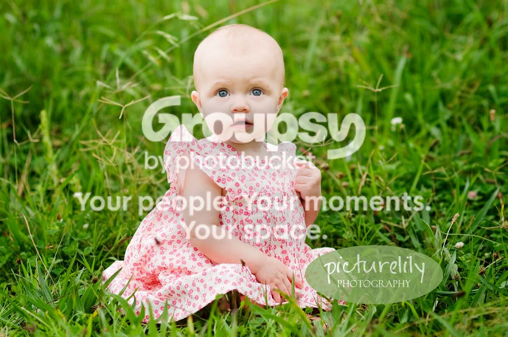 DSC_7532cropweb.jpg